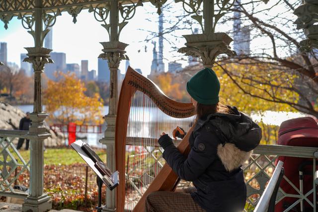 Stephanie Babirak, Harpist - 3