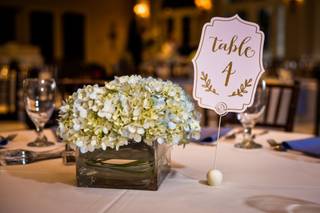 Party Blooms - 8