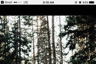 Baylie Ranae Photography - 8