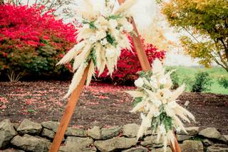 Darling Dahlia Floral - 9
