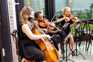 Stellar Strings - 15