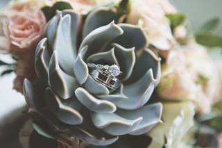 Marisa Fischetti Photography - 7
