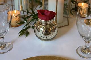 Carolina Roses - 117
