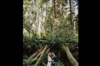 Gala Events & Weddings - 15