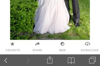 Airen Miller Photography - 60