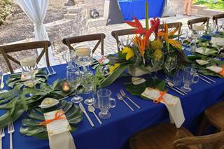 LCEvents - 11