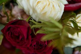 Kayla Kelley Photography - 7