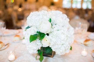Gray's Florist & Garden Center - 71