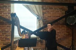 Tyler Hartley Atlanta Harpist - 15