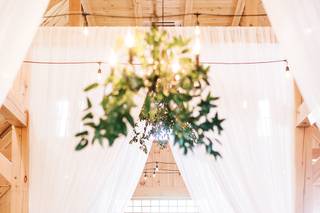 Lindsey Taylor Photography - 7