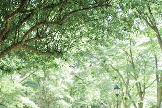 Simply Couture Photography, LLC - 7