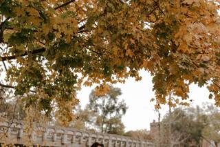 Amber Marie Photography - 12