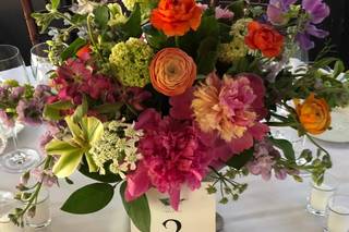 Wild Arbor Flowers - 5