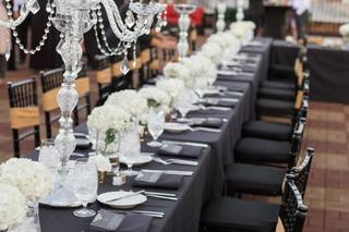 M K Carroll Designs - 100