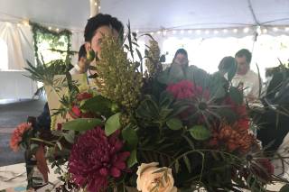 Fleur de lis Florist - 48