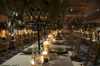 Dish Passionate Cuisine - 1