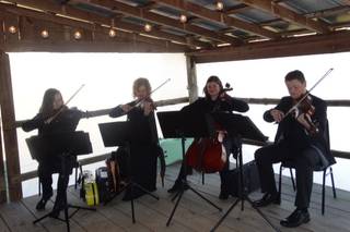 Anderson String Quartet - 16
