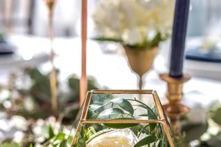 Vine & Oak Events - 20