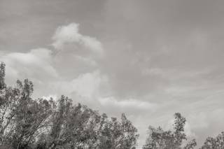 Monserate Winery - 128