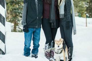 Dani Cowan Photography - 14