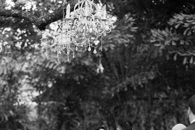 Diana Cecilia Photography 5