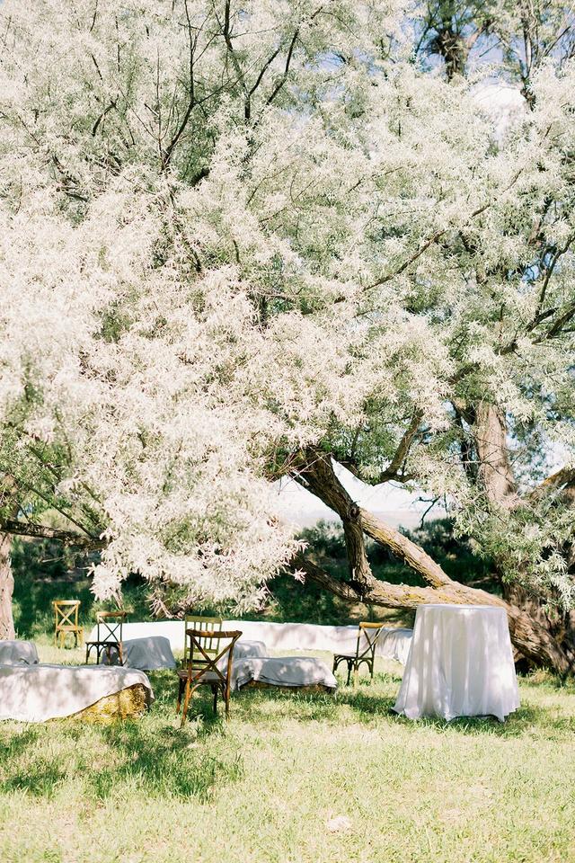 Signature Party Rental - 2