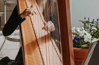 Erin Brooker-Miller, Harp - 5