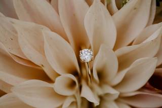 Breana Leigh Photography - 7