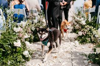 Scentsational Florals - AFFORDABLE! - 57