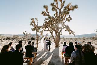 Palo Verde Party Rentals - 14