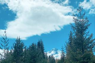 Mt. Hood Meadows - 16