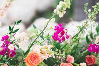 Floral Fantasy - 88