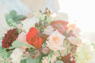 Summer Adams Photography - 7