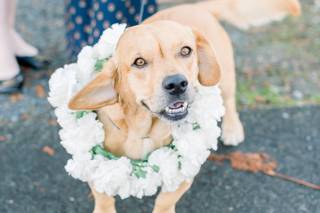 Sarah Harris Photography - 5