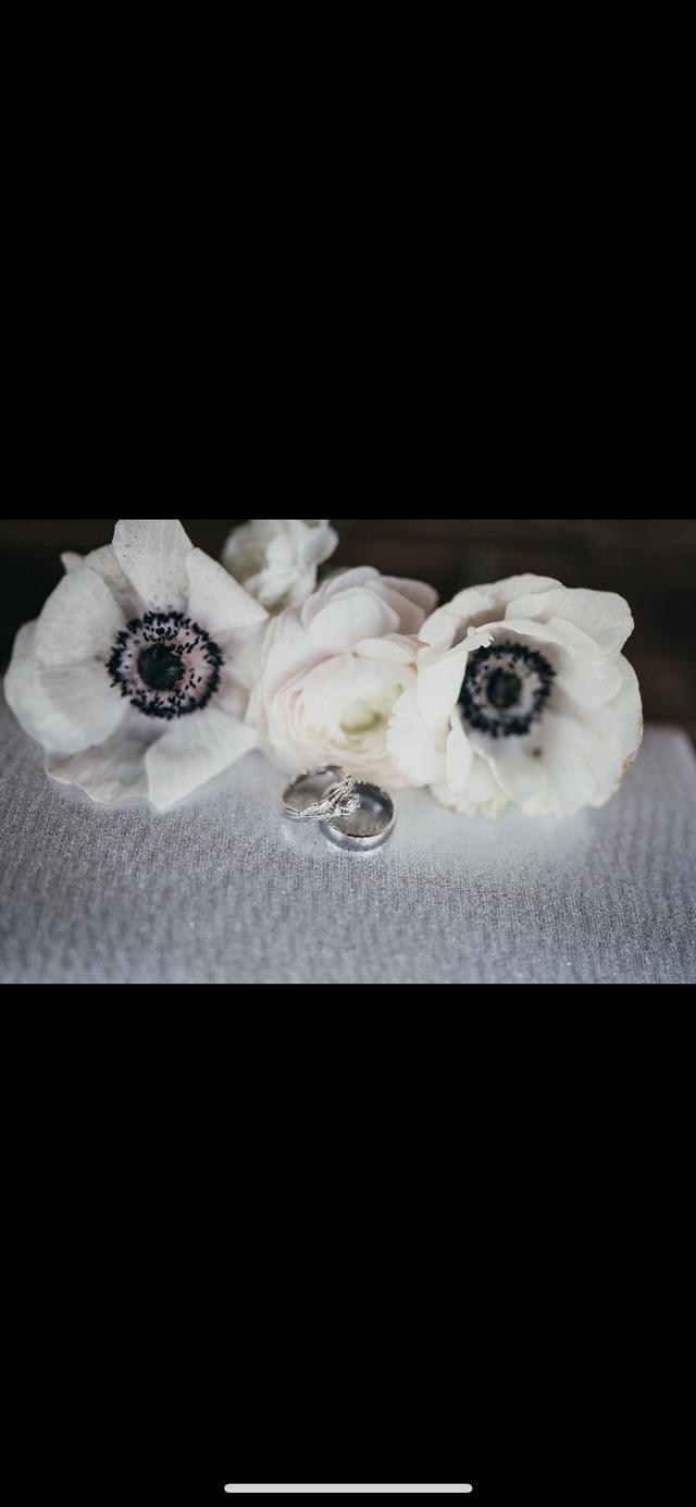 M. Alimanov Photography - 1