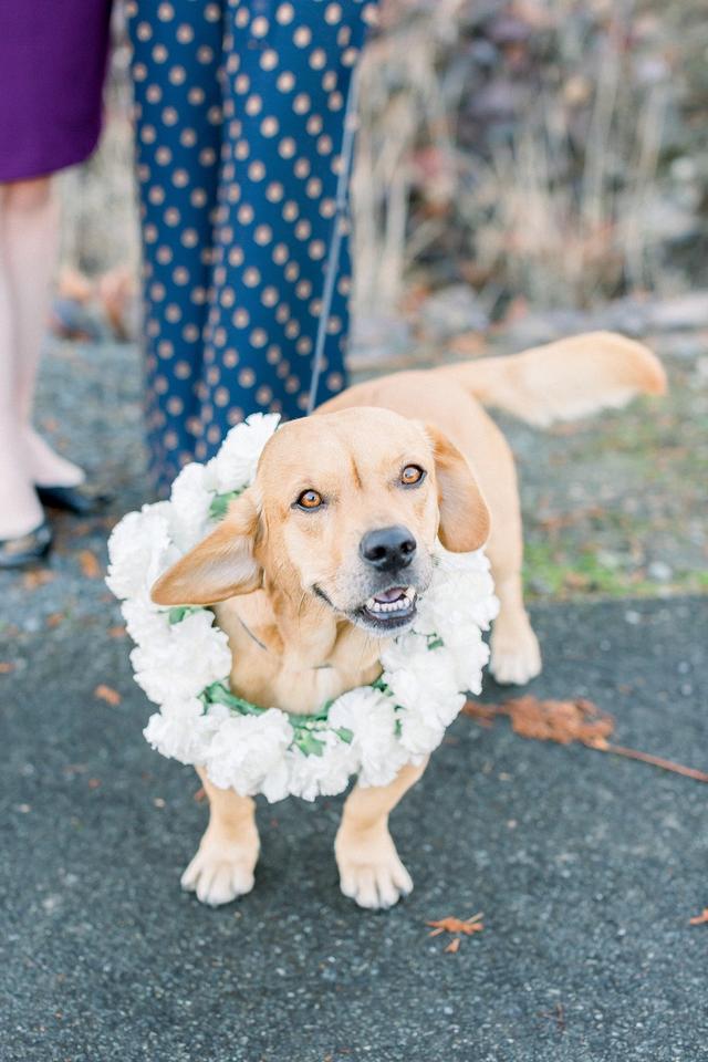 Sarah Harris Photography - 2