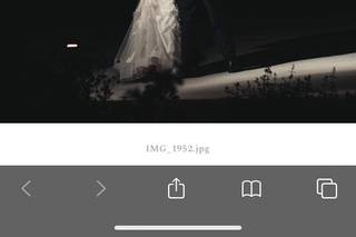 Wild North Weddings - 49