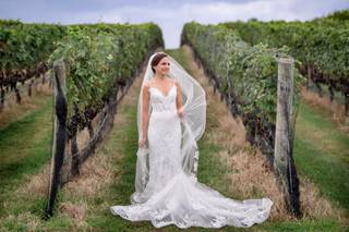 Lisa Nicolosi Photography - 31