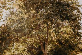 Nicole De Anda Photography - 31