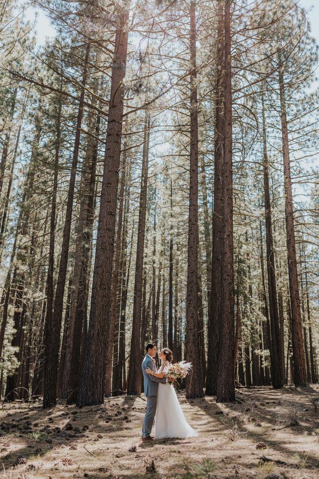 Nichole Collins Photography - 4