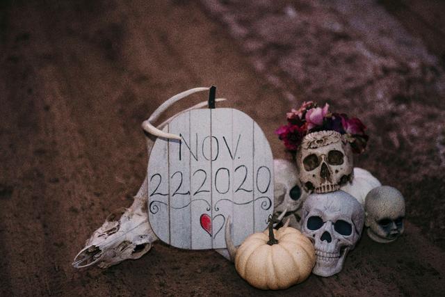 Laura Ann Photography - 1