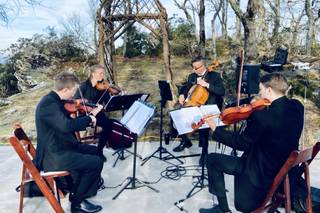 SUMMIT Strings - 71