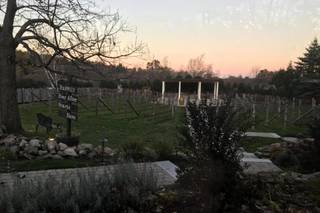 Birch Wood Vineyards by Wedgewood Weddings - 119