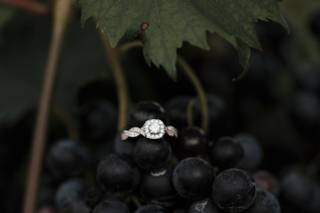 Frederick and Reid Photography - 34