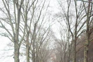 Andrew Rayn Photography - 13