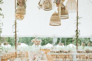 Stellaluna Events - 20