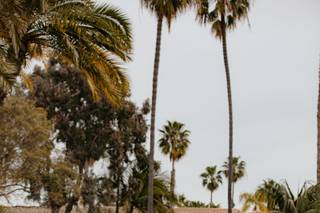 Natalia Bell Photography - 6