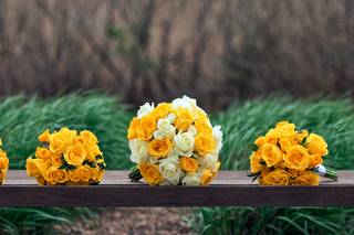 JHumphries Photography - 9