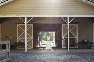Regan Ross Creative - 6