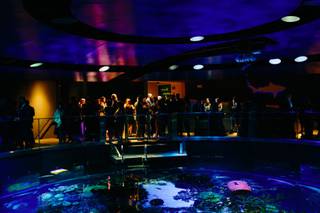 New England Aquarium - 17